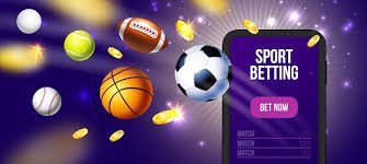 Shio Game payout and betting history on javaslot88 login dashboard